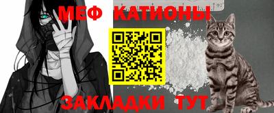 прущие грибы Можга