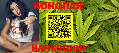 прущие грибы Можга