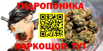 ешки Моздок