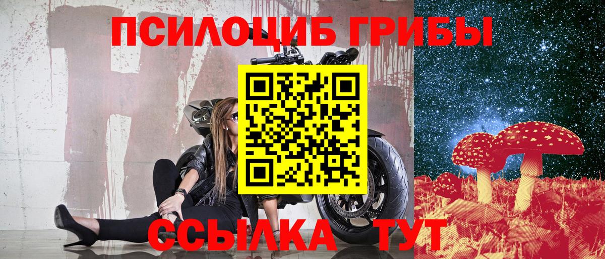 Владимир  Псилоцибиновые грибы ЛСД  Вход с VPN 